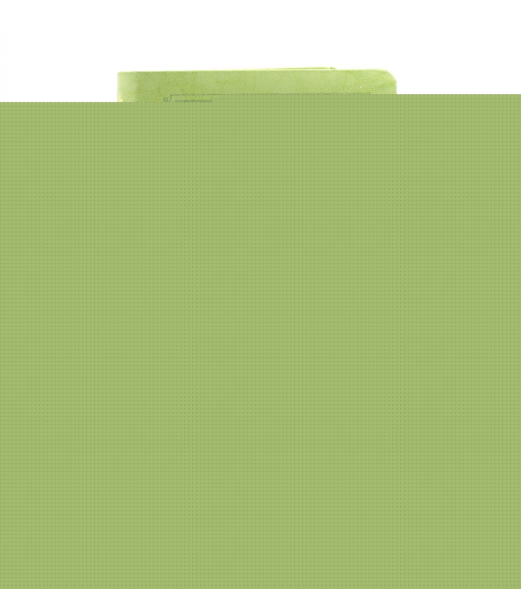 Bibliothèque 056 MTiG ИИЖ (Светло-зеленый)