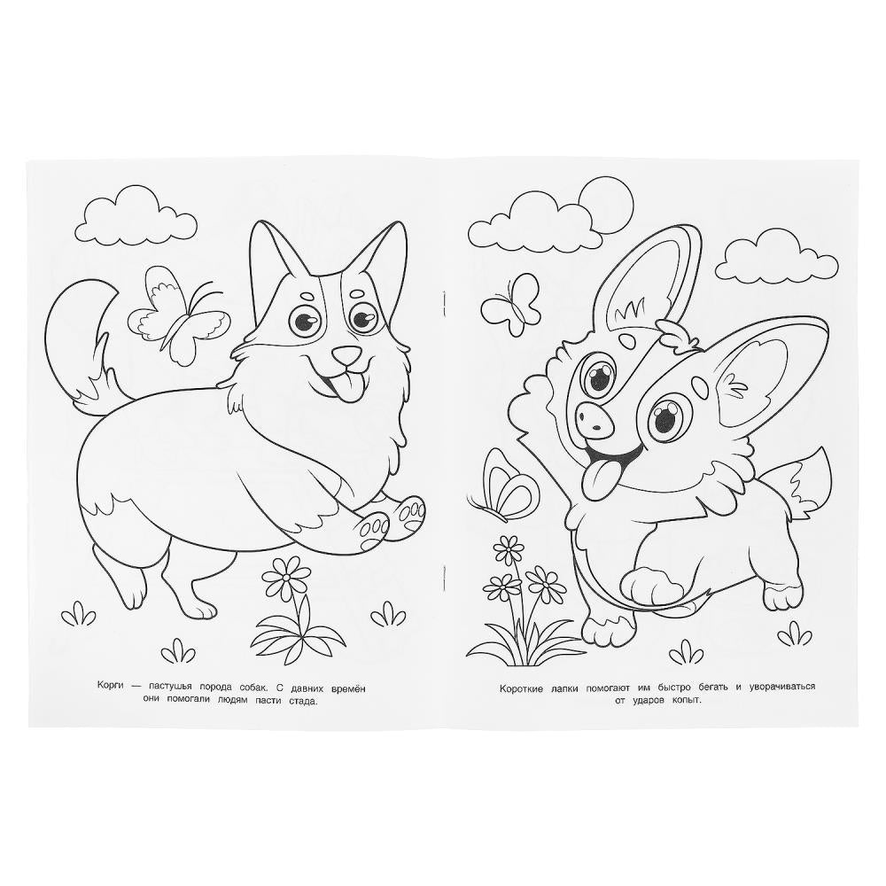 Les corgis et les dragons. Раскраска. 214х290 mm. Скрепка. 16 pièces. Умка в кор.50шт