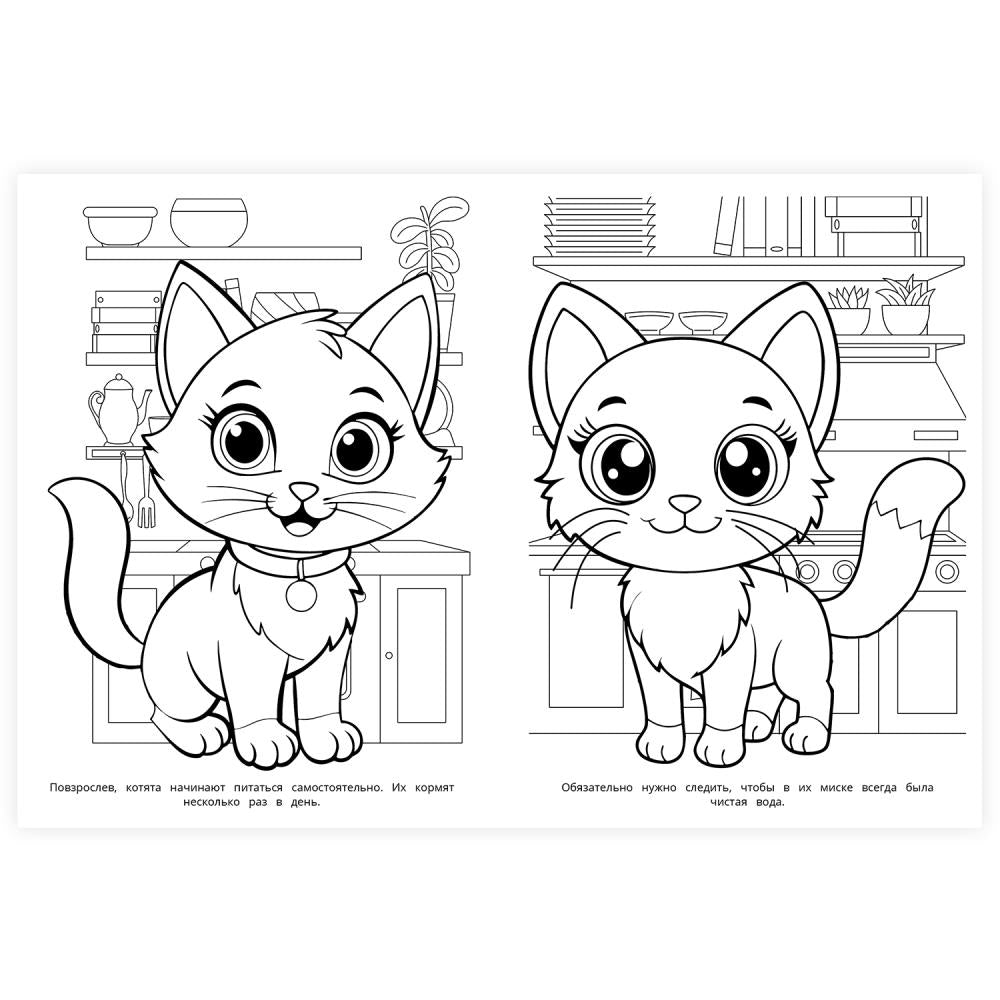 Котики. Раскраска. 214х290 мм. Скрепка. 16 стр. Умка в кор.50шт