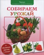 Собираем урожай. Малышам о живой природе. Волцит П.М.