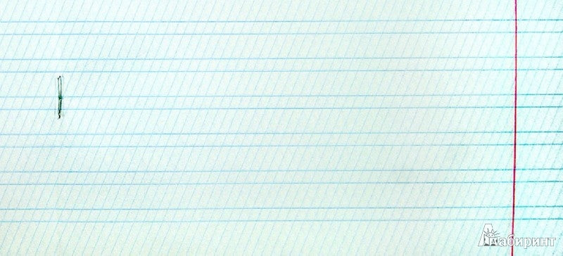 Тетрадь в частую косую линейку, 12 листов