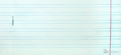 Тетрадь в частую косую линейку, 12 листов