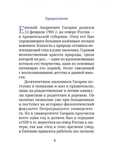 Поездка на Святки: Повесть Гагарин Евгений Андреевич