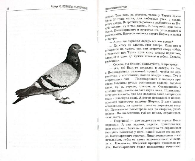 Психоголубетерапия:лечение голубями дп