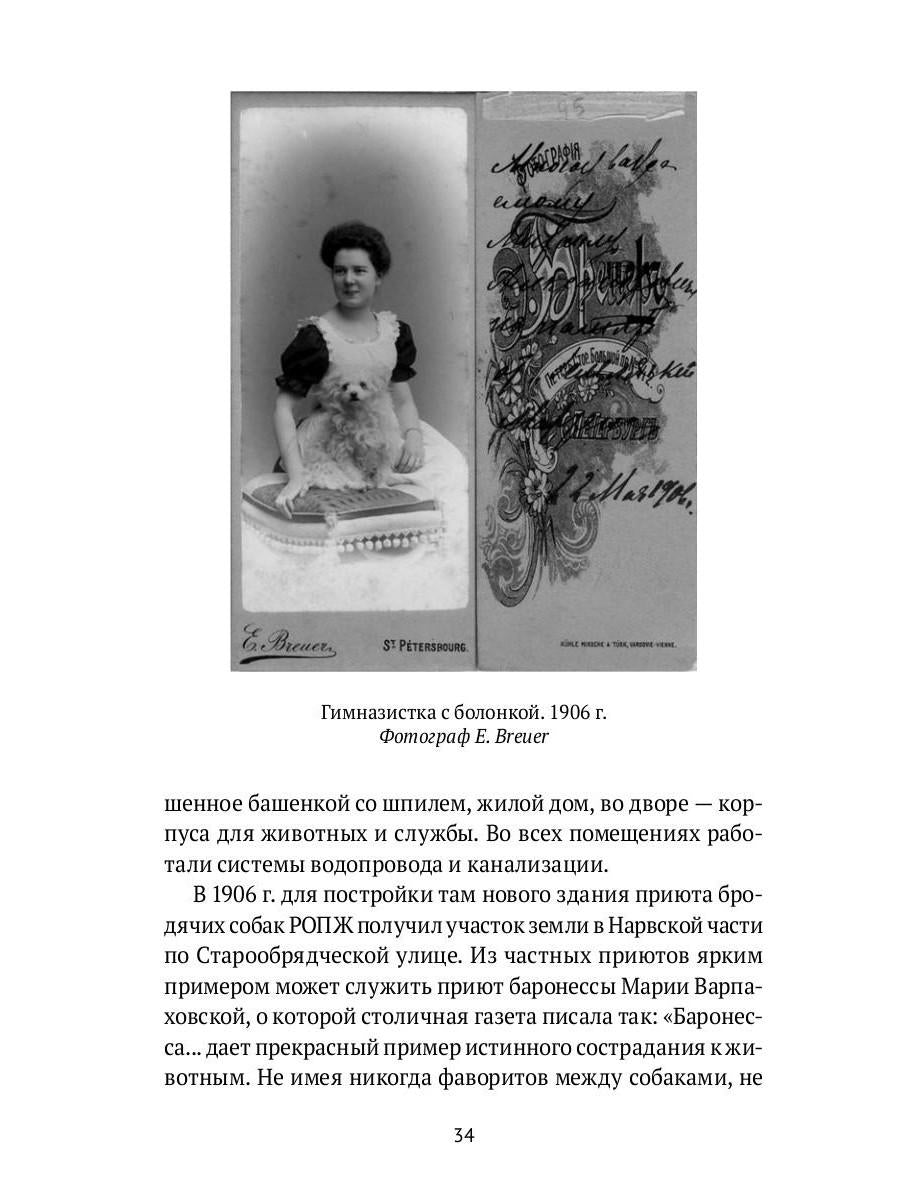 Собаки в городах. Жизнь собак в истории, искусстве и обществе
