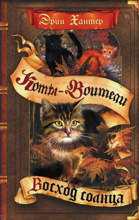 Коты-воители. Цикл "Сила трех". Восход солнца.