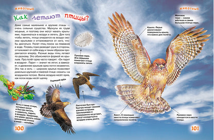 Nouvelle encyclopédie pour le sport