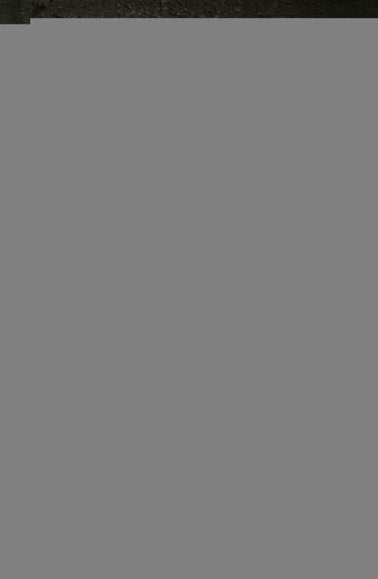 Энерго-информация сущего мира и вирусных инфекций. Философия науки и веры