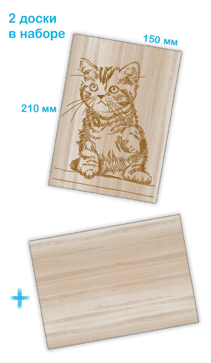 Выжигание по дереву. Доски для выжигания 2 шт "Котик" (blister)