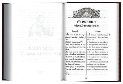 La Saint-Évangélie du Japon russe a des activités parallèles en Russie