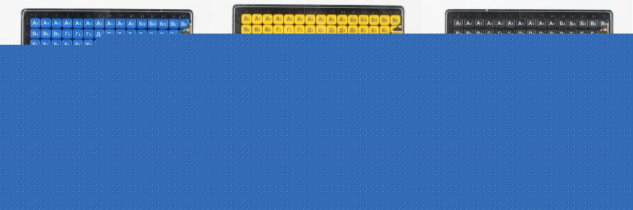 Биплант.Эрудит игра (пластм) арт.10011/10012/10013 /25