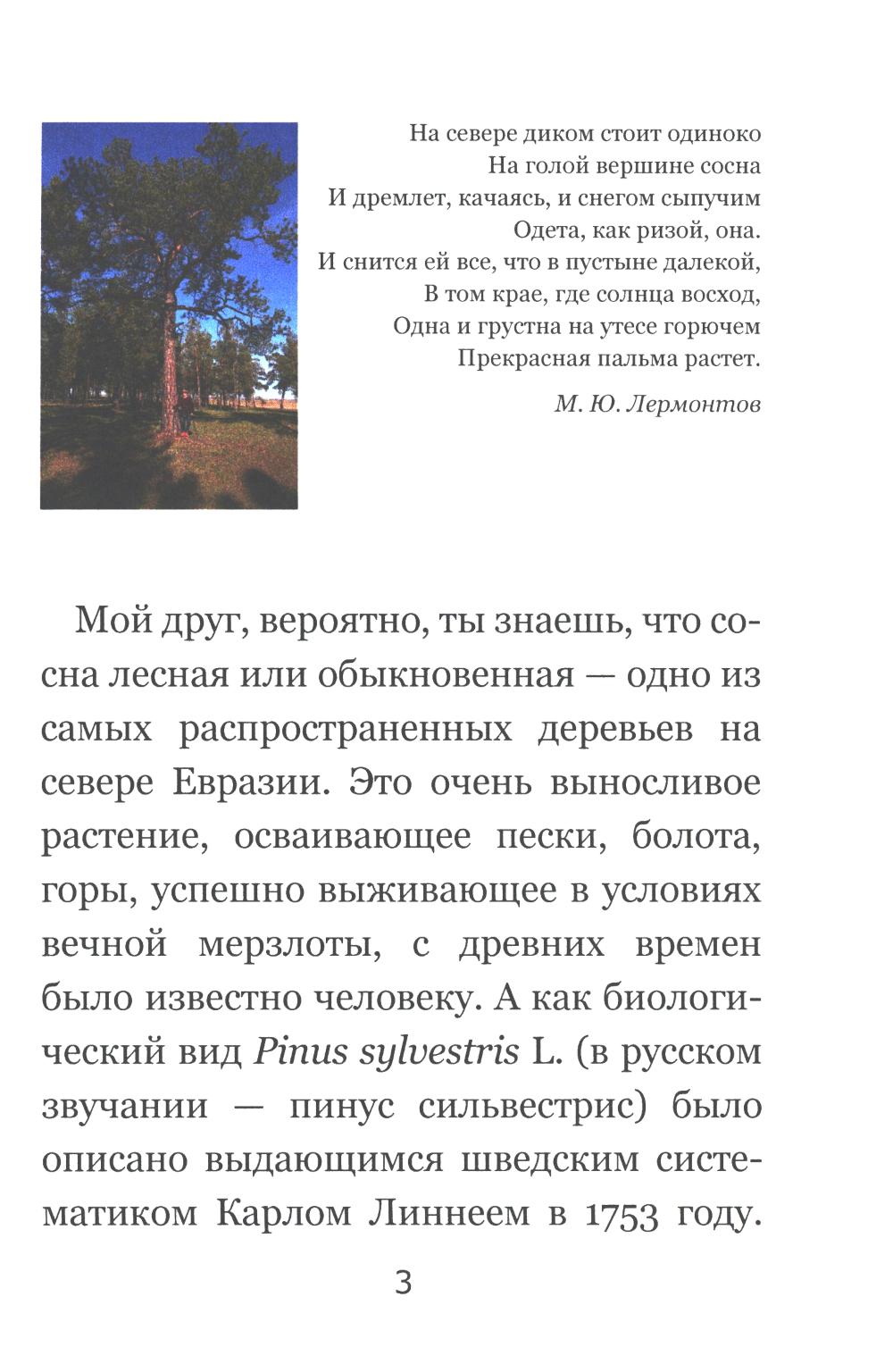 Тайны соснового леса