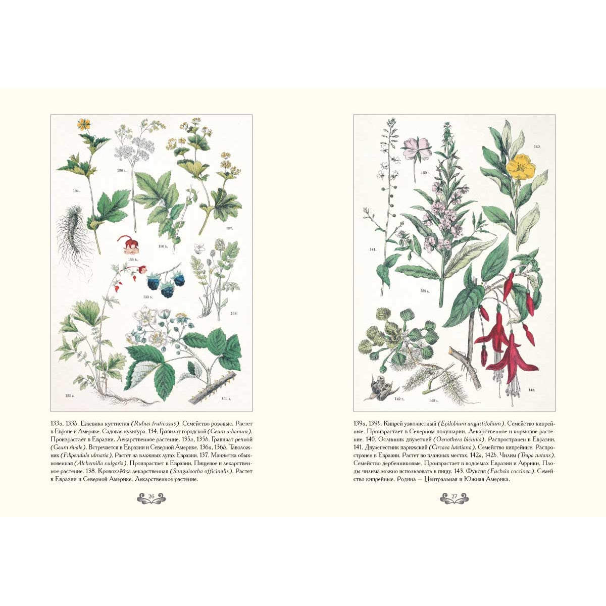 Ботанический атлас. Карл фон Гофман