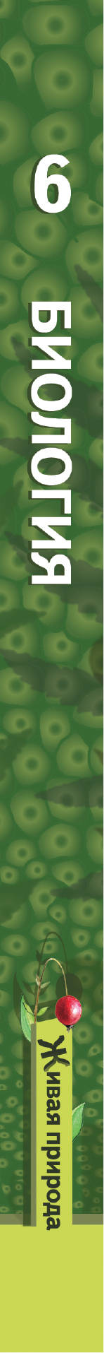 Биология. 6 кл. Учебник.