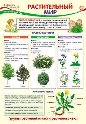ПО-13408 Plaque A3. Окружающий мир в начальной школе. Le monde rastitel