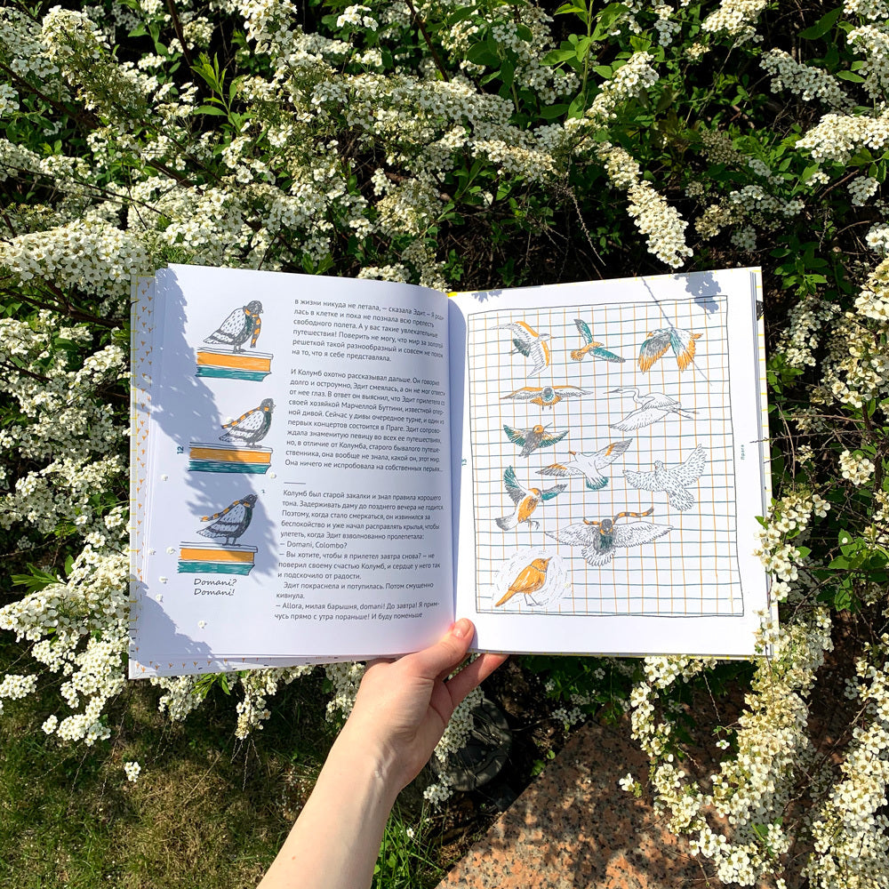 Голубь Колумб