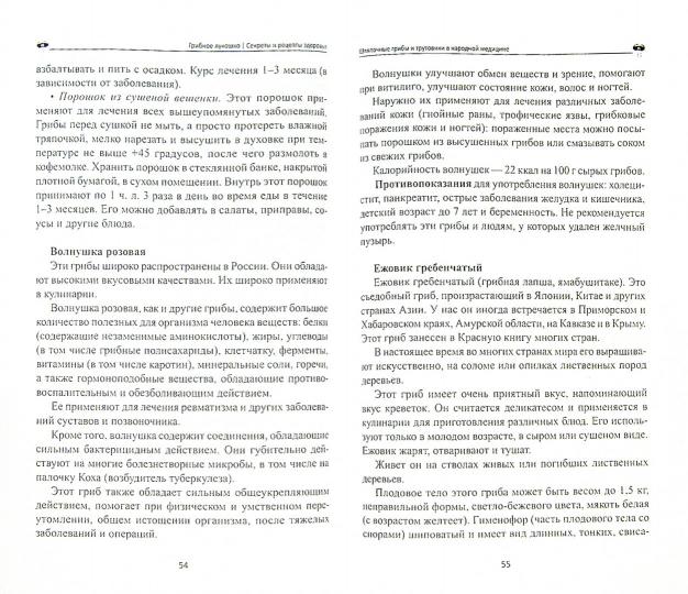 Грибное лукошко:секреты и рецепты здоровья