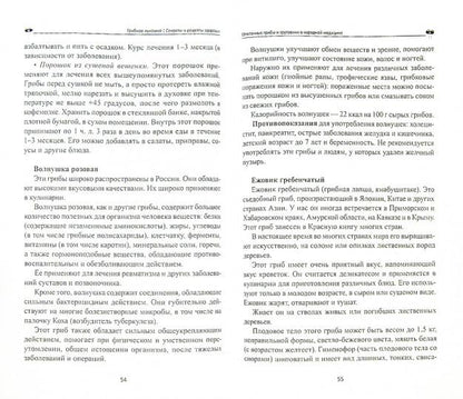 Грибное лукошко:секреты и рецепты здоровья