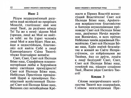 Акафисты, читаемые в болезнях, скорбях и особых нуждах