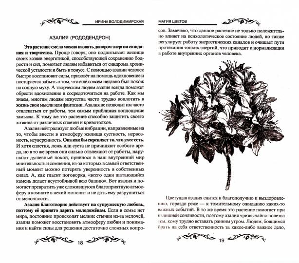 Магия цветов