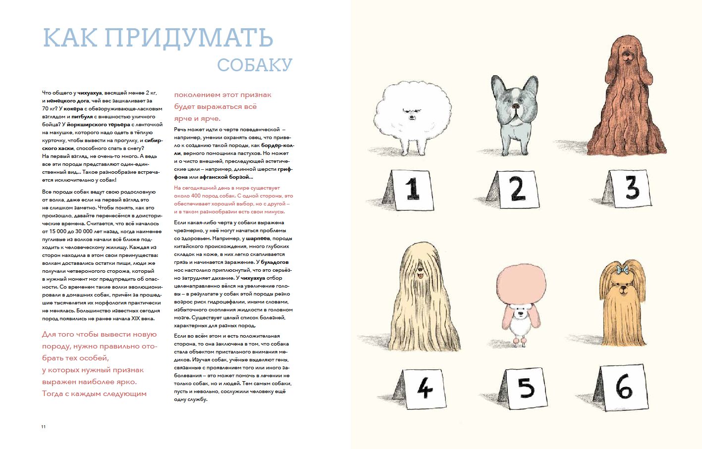 Собаки & кошки:Что знает о них наука (илл.Муррен С.)