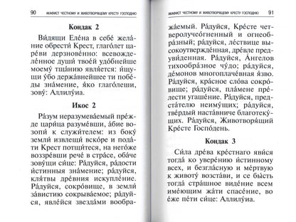 Акафисты, читаемые в болезнях, скорбях и особых нуждах