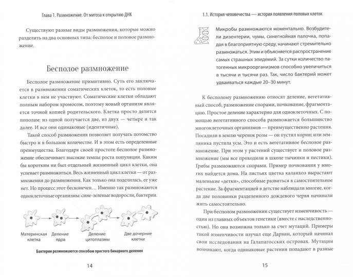 Зарождение человека. От замысла природы до LABораторной пробирки