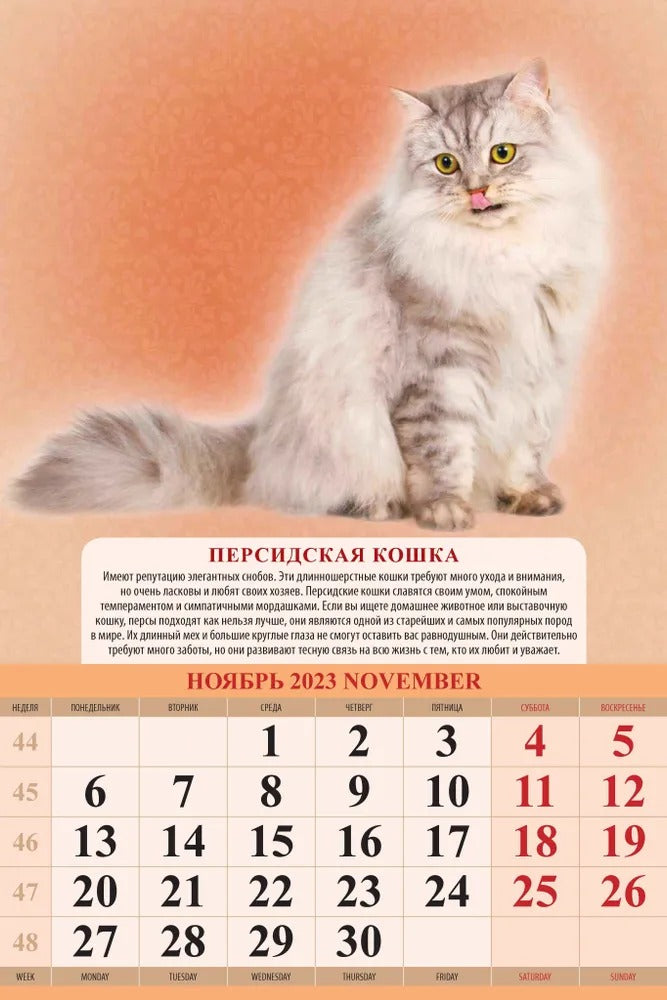 Calendrier "Породы кошек" pour 2024. Panneau avec cadre (320*480 mm) 6 listes