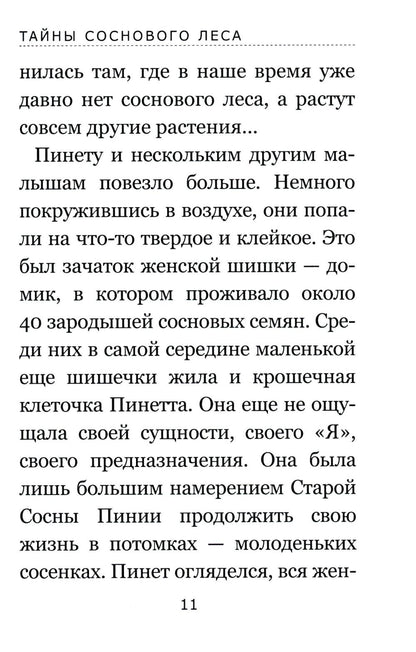 Тайны соснового леса