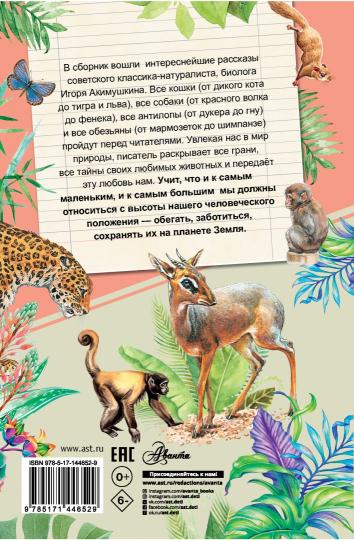 Рассказы о любимых животных