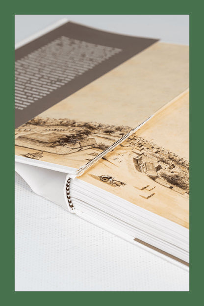 Ганди: Иллюстрированная биография (р1)