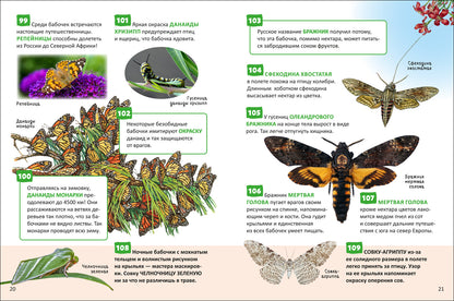 Насекомые. Энциклопедия российского школьника