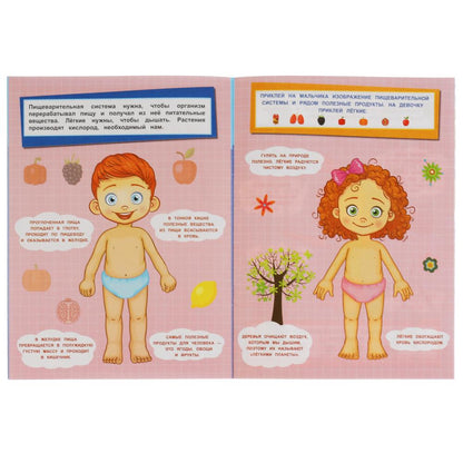 "УМКА". ТЕЛО ЧЕЛОВЕКА. ДОПОЛНИ КАРТИНКУ, 35 НАКЛЕЕК. ФОРМАТ: 160Х215 ММ. ОБЪЕМ: 8 СТР. в кор.50шт