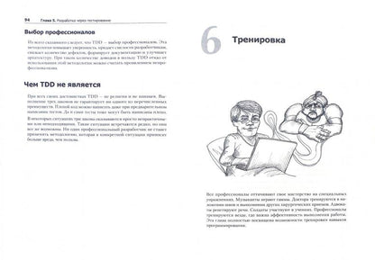 Идеальный программист. Как стать профессионалом разработки ПО