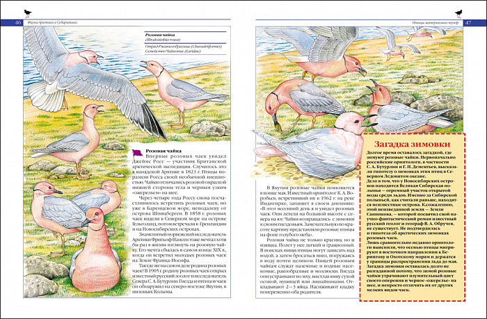 Красная книга России. Животные