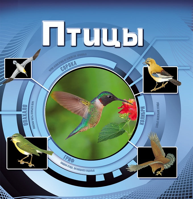 Птицы  (3D)