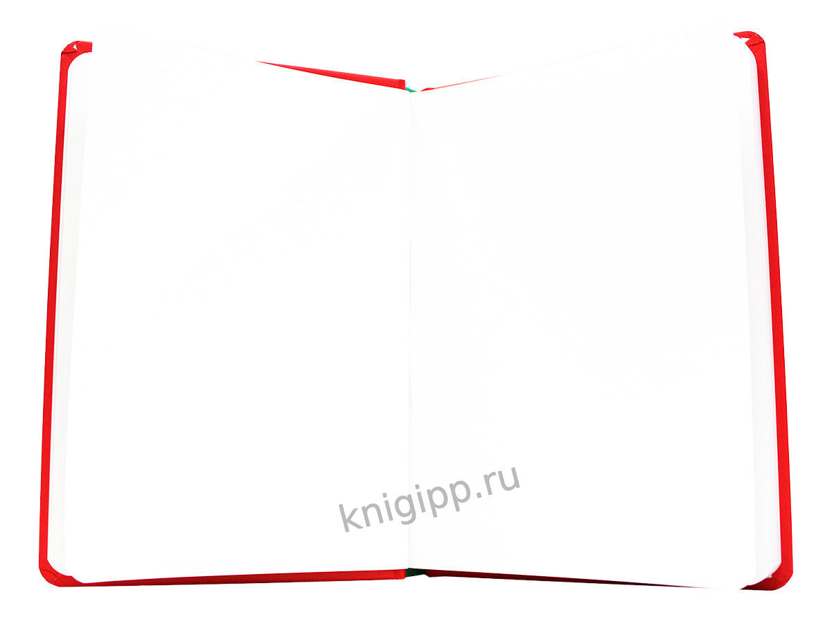 Mon Art. СКЕТЧБУК "В ТРЕНДЕ" КАПИБАРА И ГУСЬ