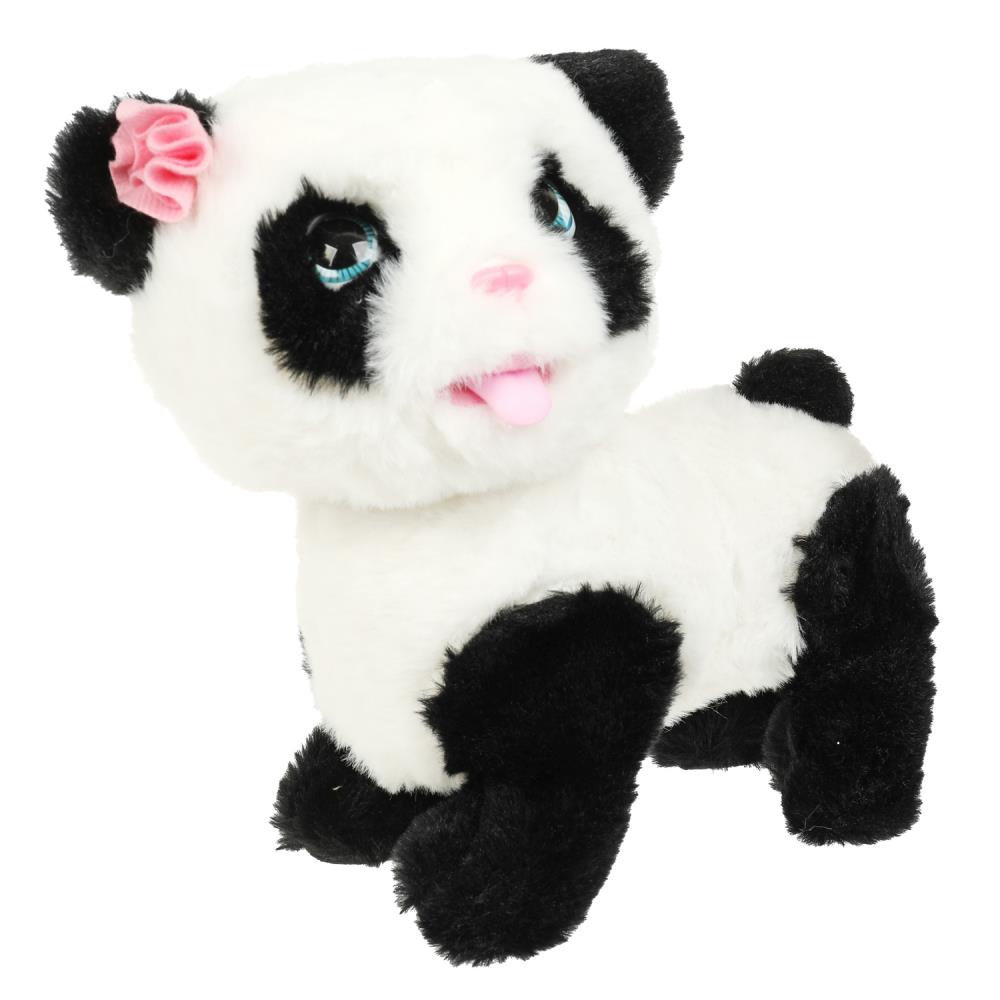 Le panda interactif de Louisa est de 22 cm, il est mort, il est là, dans la cour. МОЙ ПИТОМЕЦ в кор.12шт