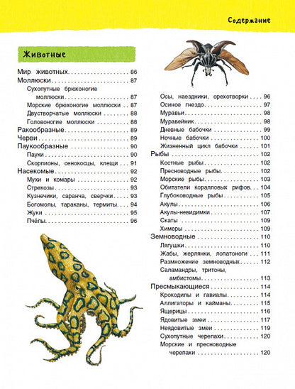 Большая иллюстрированная энциклопедия (нов.)