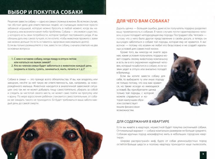 Как продлить жизнь вашей собаке