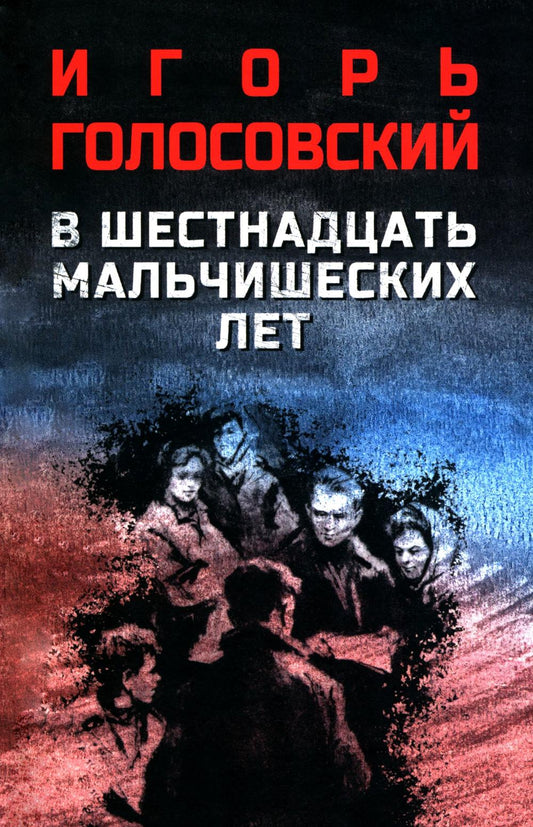 В шестнадцать мальчишеских лет (16+)