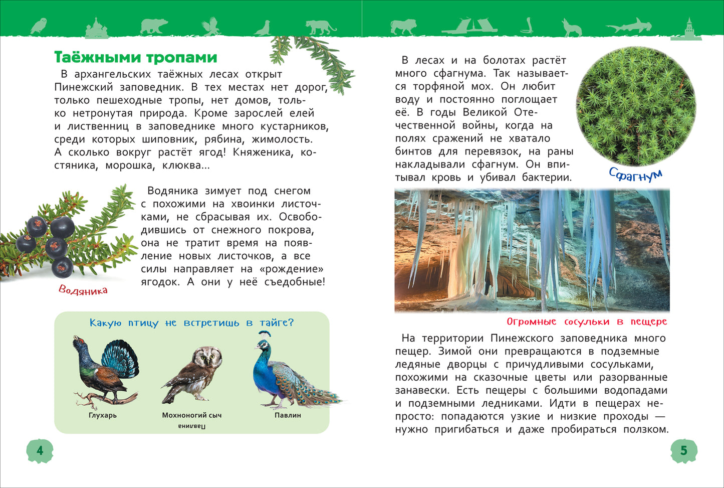Чудеса родной природы (Энциклопедия для детского сада)