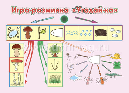 ФГОС ДО Развитие экологической культуры детей 5-8 лет. Комплект Мир животных. Образовательная область "Познавательное развитие". (32 цветные односторонние иллюстрации, 8 черно-белых двухсторонних карт, формат А4)