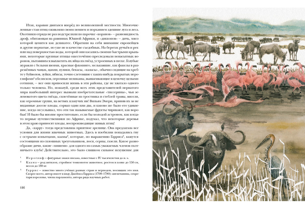 Приключения троих русских и троих англичан в Южной Африке : [роман] / Ж. Vern ; par. en France. ; commentaire. В. P. Ерашова ; IL. О. H. Пахомова. —M. : Нигма, 2020. — 224 с. : IL. — (Страна приключений).