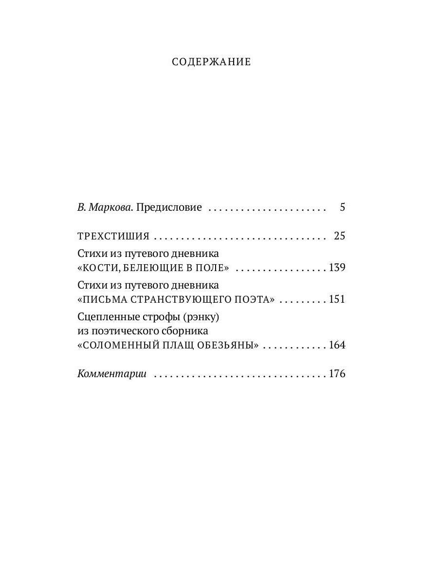 Рип.МирКlas.Письма странствующего поэта:стихи