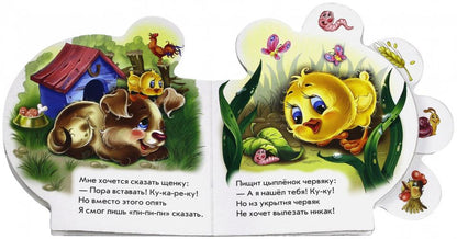 Все про цыпленка