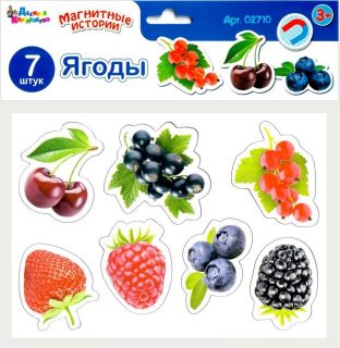 Игра магнитная развивающая. Histoire magnétique "Ягоды" (европодвес, 4х20шт)