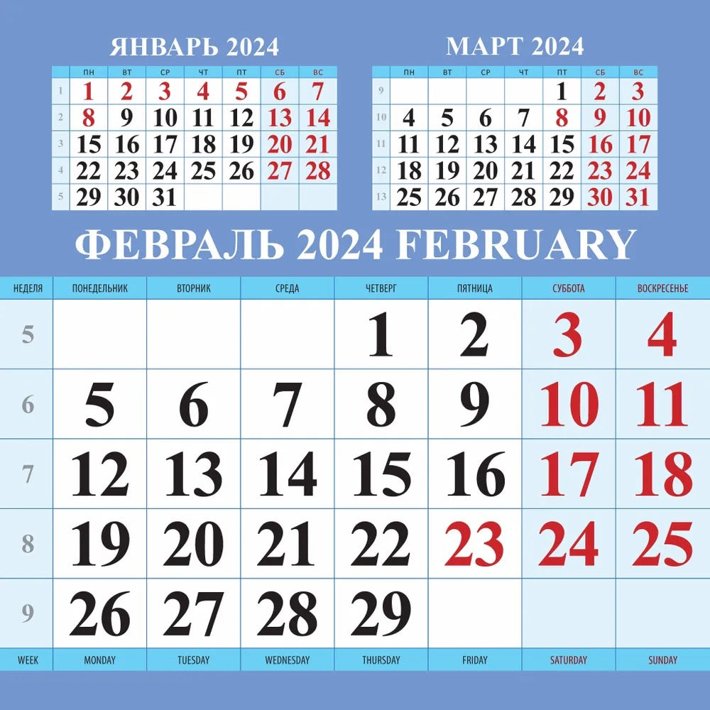 Календарь с котятами на 2024 год. Переплет на скрепке (285*285 мм) 12 листов