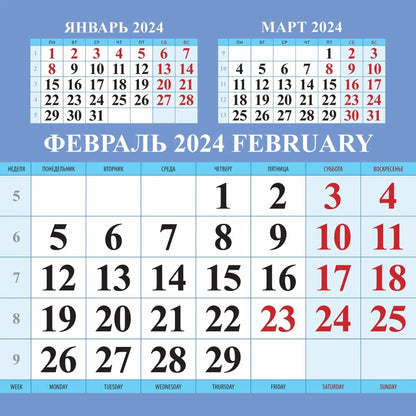 Календарь с котятами на 2024 год. Переплет на скрепке (285*285 мм) 12 листов