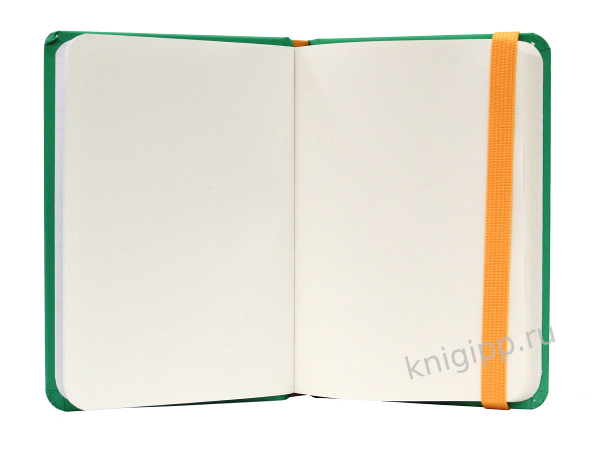 MyArt. Pocket СКЕТЧБУК. КОТ